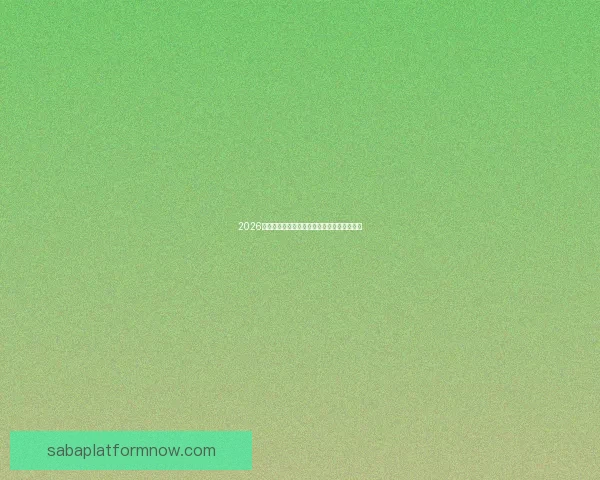 2026世界杯电视直播全方位指南精彩赛事不容错过